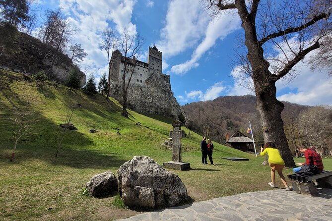Bran Castle & Bear Sanctuary from Brasov - Optional Peles Castle - Inside Libearty Bear Sanctuary