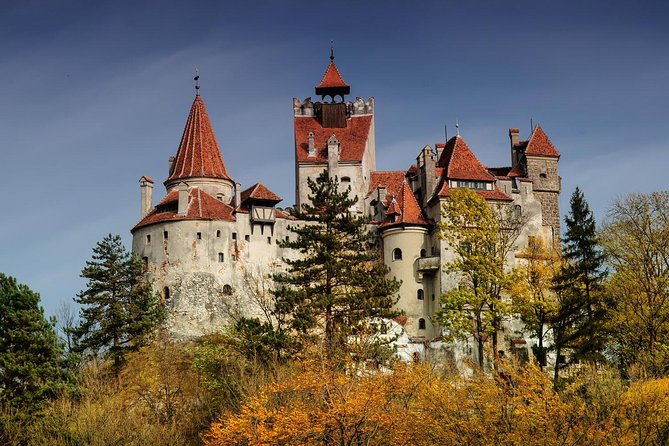 Bran (Dracula) Castle, Bear Sanctuary, Rasnov Fortress & Palinca Distillery - Why this four-stop Transylvania route works