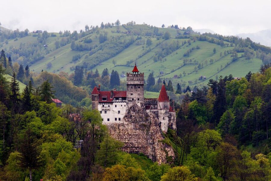 Bran: Guided Castle Tour - Key points to know before you go
