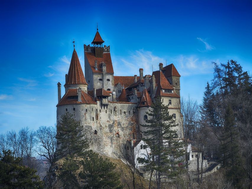 Bran: Guided Castle Tour - Is $48 good value for one hour?