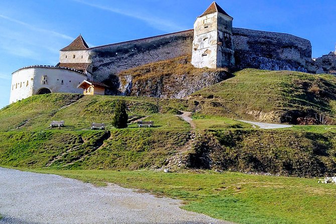 Brasov: Bear Sanctuary, Bran Castle & Rasnov Fortress GUIDED Tour - Why the bear sanctuary matters more than a photo