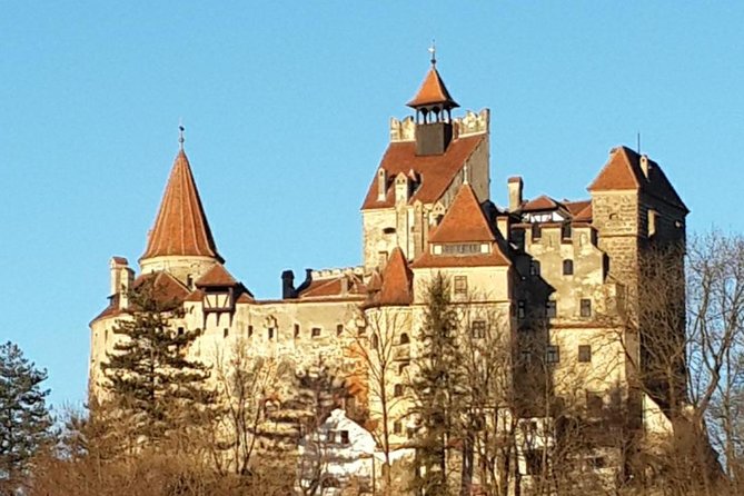 Brasov: Bear Sanctuary, Bran Castle & Rasnov Fortress GUIDED Tour - A small vehicle makes the long day easier