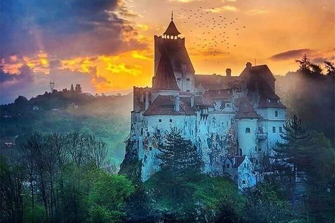 Brasov: Bear Sanctuary, Bran Castle & Rasnov Fortress GUIDED Tour - Who will get the most from this tour