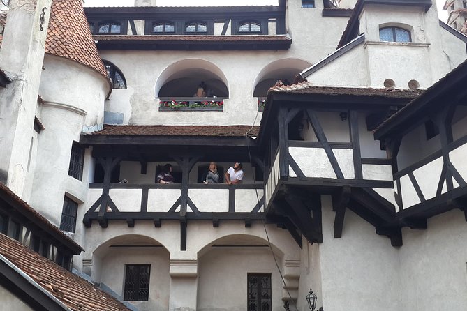Brasov: Bear Sanctuary, Bran Castle & Rasnov Fortress GUIDED Tour - My verdict: book it with one important check