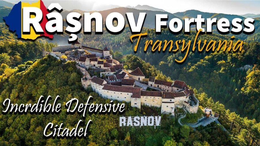 Brasov: Bear Sanctuary, Dracula Castle, and Râşnov Fortress - A small vehicle makes the route easier