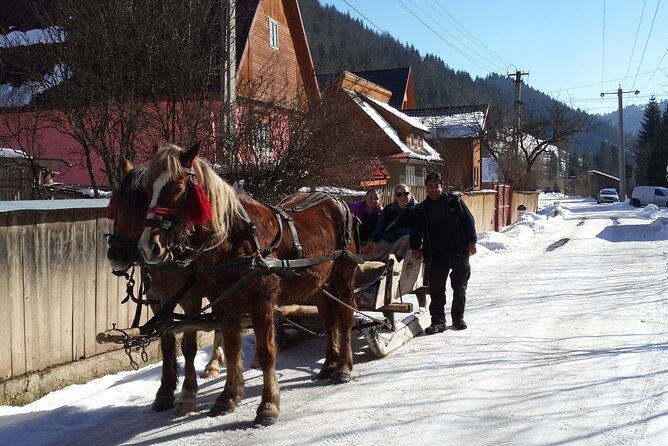 Brasov: Bears Sanctuary, Rasnov Fortress, Bran Castle GUIDED Tour - Transport, timing, and the small-group advantage