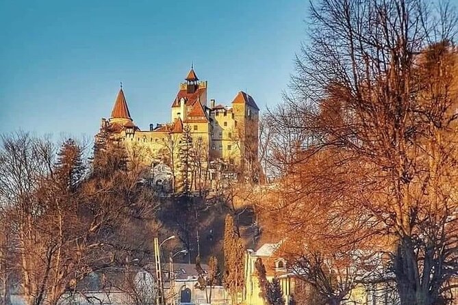 Brasov: Bears Sanctuary, Rasnov Fortress, Bran Castle GUIDED Tour - Who will enjoy this tour most?
