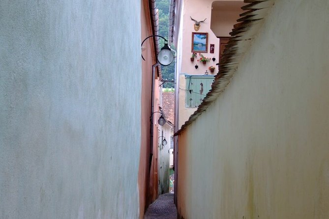 Brasov City Guided Walking Tour for Small Group - The Black Church and its remarkable interior