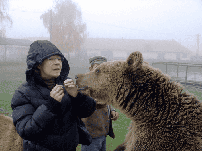 Brasov: Libearty Bear Sanctuary - Why Libearty feels different from a normal animal attraction