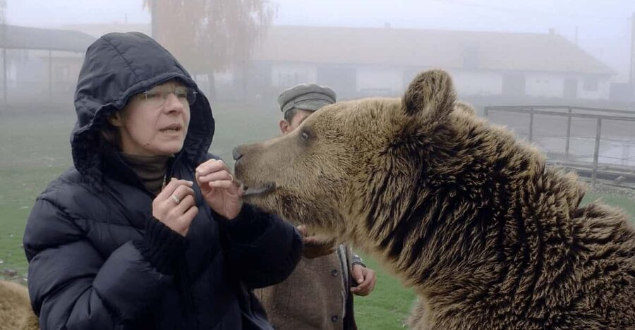 Brasov: Libearty Bear Sanctuary - Entering the forest refuge