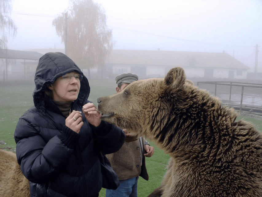 Brasov: Libearty Bear Sanctuary - Leaving Brasov by comfortable minibus