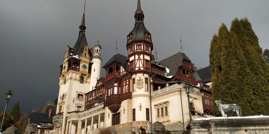 Brasov: Peles Castle, Bran Castle & Rasnov Fortress Day Tour - What the $84 price really covers