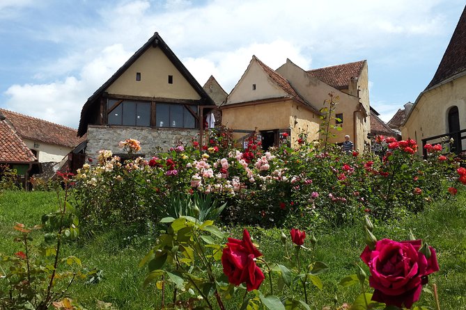 Brasov: Peles Castle, Bran Castles and Rasnov Fortress Day Tour - Sinaia Monastery and its two churches