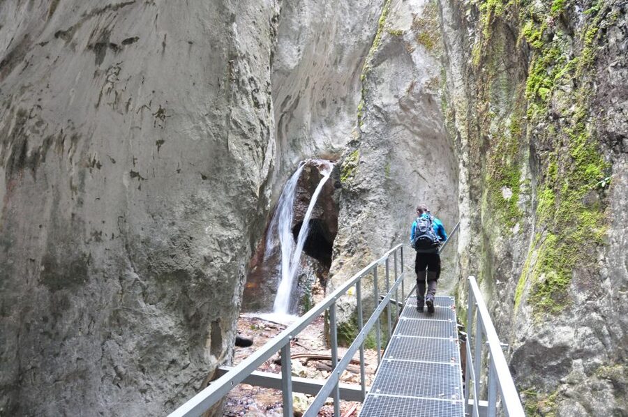 Brasov: Small-Group 7 Ladders Canyon Day Trip - Who should book the Seven Ladders Canyon trip?