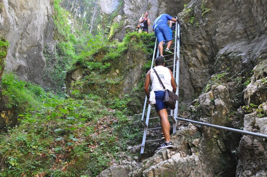 Brasov: Small-Group 7 Ladders Canyon Day Trip - Climbing the seven ladders