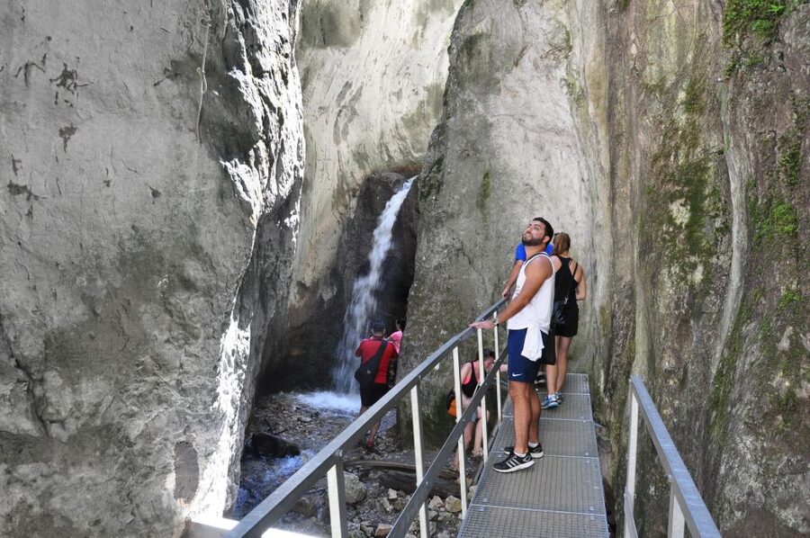 Brasov: Small-Group 7 Ladders Canyon Day Trip - The Bear Wall side trail and forest return