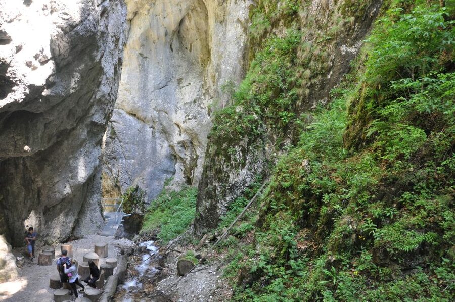 Brasov: Small-Group 7 Ladders Canyon Day Trip - Timing, weather, and practical details