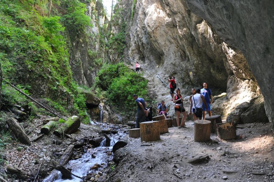 Brasov: Small-Group 7 Ladders Canyon Day Trip - Getting from Brasov to the forest trail