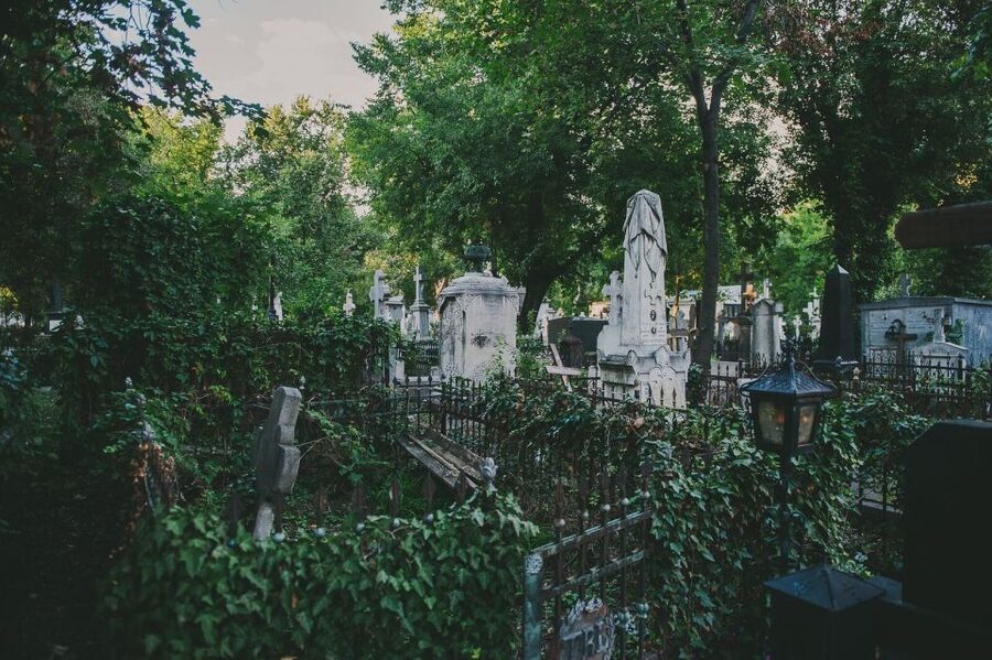 Bucharest: 3-Hour Dark History Tour with a Local - What the $55 price includes