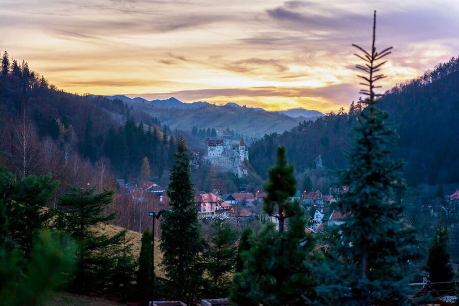 Bucharest: Bran Castle and Bear Sanctuary Small-Group Tour - Libearty Bear Sanctuary and its difficult stories