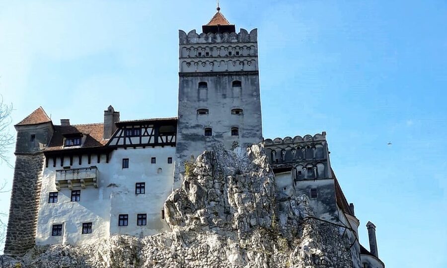 Bucharest: Bran Castle and Bear Sanctuary Small-Group Tour - Who should book this experience