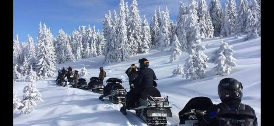 Bucharest: Carpathian Snowmobile / ATV Adventure Tour - Should you book the Carpathian snowmobile and ATV tour?