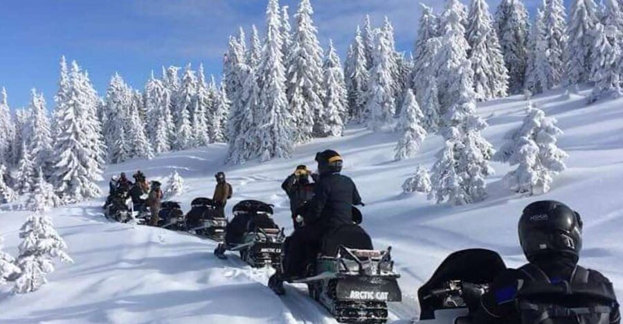 Bucharest: Carpathian Snowmobile / ATV Adventure Tour - Azuga snowmobile and ATV ride