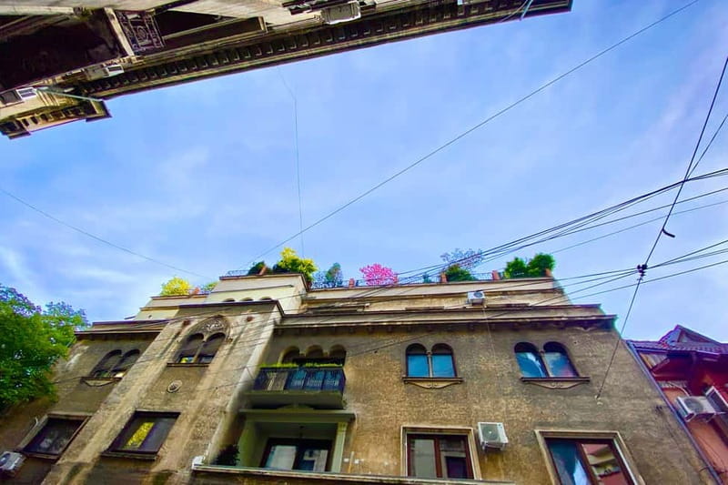 Bucharest: Craft Beer Tour with Traditional Meal - The first beer and the street snack