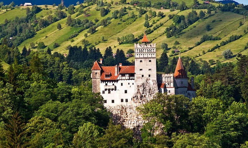 Bucharest: Day Trip to Bear Sanctuary, Bran Castle & Brasov - Key points to know before booking