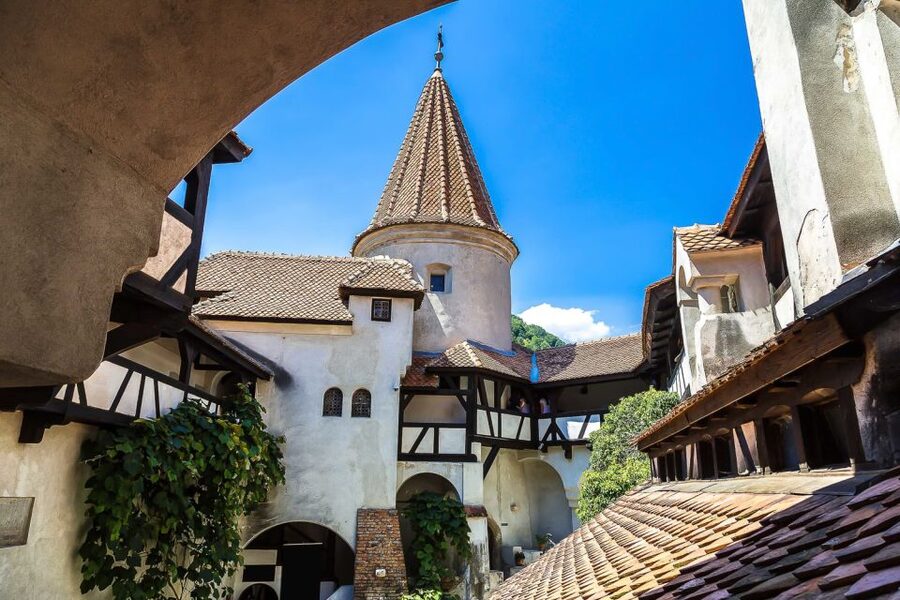 Bucharest: Day Trip to Dracula Castle, Peles Castle & Brașov - The mountain road from Sinaia to Bran