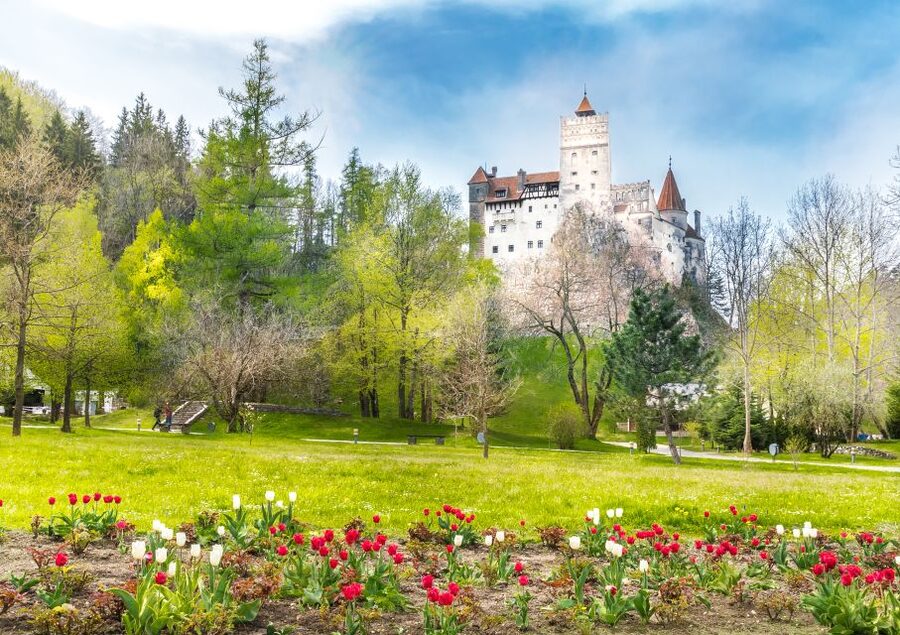 Bucharest: Dracula Castle, Peles Castle & Brasov Guided Tour - Key points to know before you book