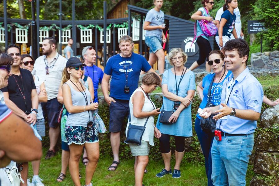 Bucharest: Dracula Castle, Peles Castle & Brasov Guided Tour - What the $116 price really covers