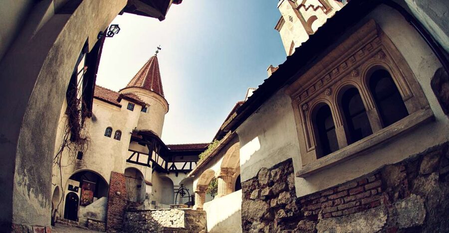 Bucharest: Dracula Castle, Peles Castle & Brasov Guided Tour - The guides make the difference