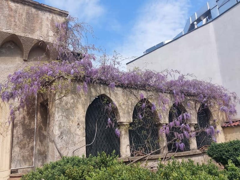 Bucharest: Hidden Gems 2.5-Hour Walking Tour - A covrig break with a bit of food history