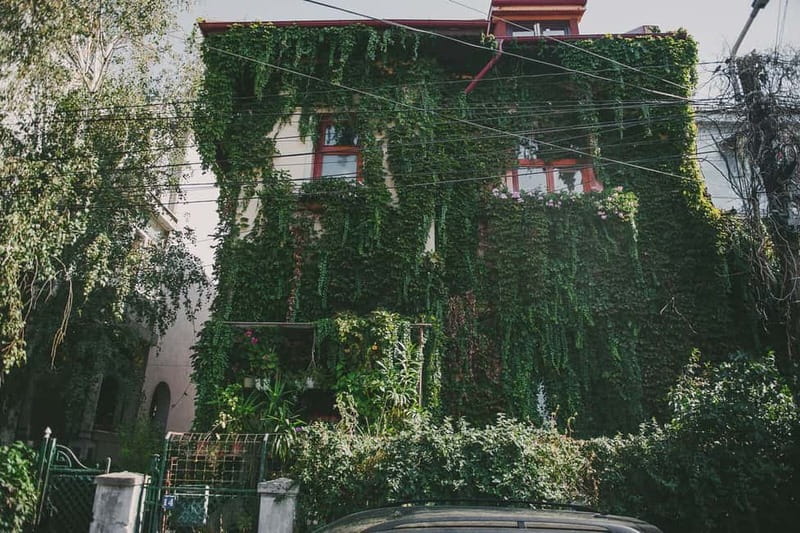 Bucharest: Hidden Gems 2.5-Hour Walking Tour - Mantuleasa Street and the Bucharest of Mircea Eliade