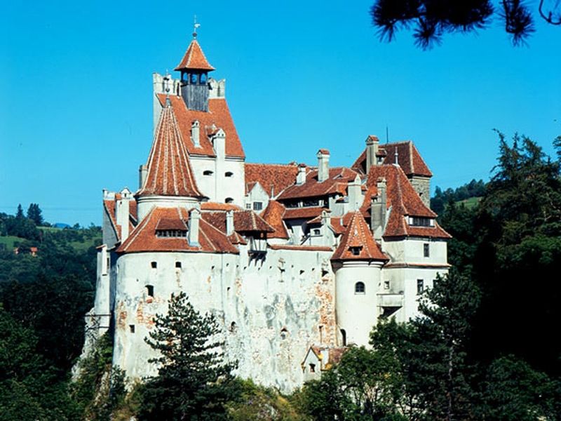 Bucharest: Peles Castle, Dracula's Castle and Brasov Tour - Peleș Castle, Romania’s grandest first impression