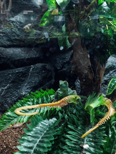 Bucharest: Reptiland Bucharest Entry Ticket - Key points at a glance