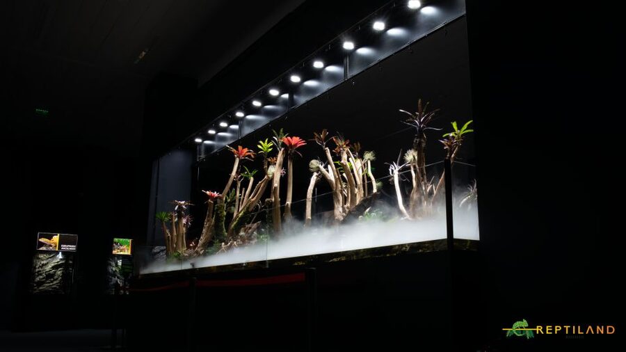 Bucharest: Reptiland Bucharest Entry Ticket - A tropical forest inside an Expo building