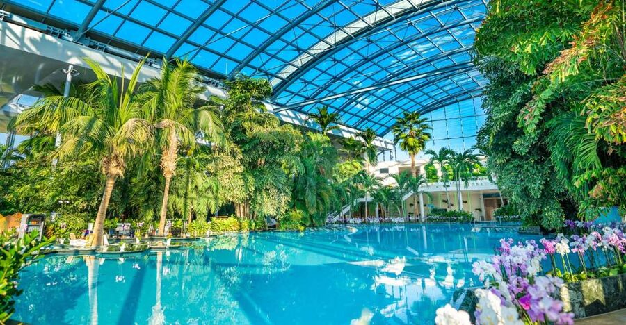 Bucharest: Therme Bucharest Entry Ticket and Transfer - The transfer from Bucharest keeps the day simple