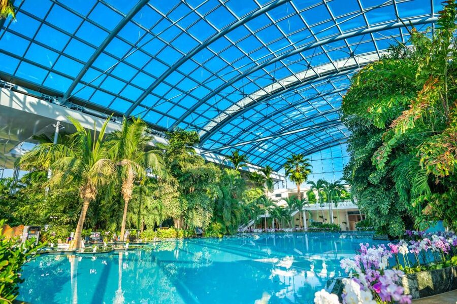 Bucharest: Therme Bucharest Entry Ticket and Transfer - The Palm brings tropical calm, with an age limit