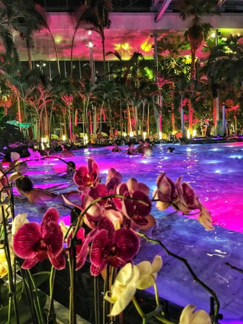Bucharest: Therme Spa Night Experience with Transfer - Key points at a glance
