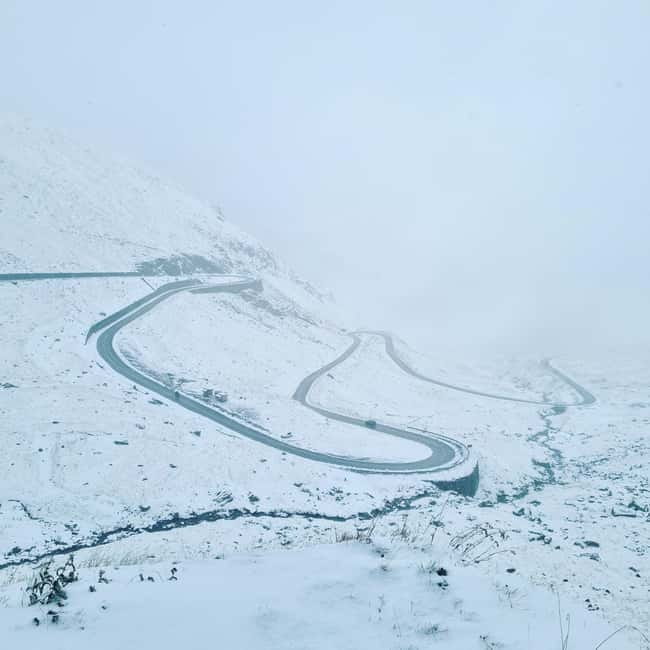 Bucharest: Transfagarasan Road - Small Group max 7 Tourists - Brown bears: memorable, but never guaranteed