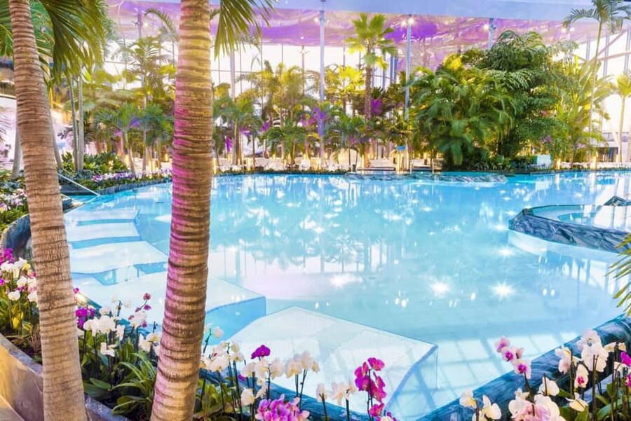 Bucuresti: Bucuresti Therme Transfer and Full-Day Access - Galaxy brings the water-park energy