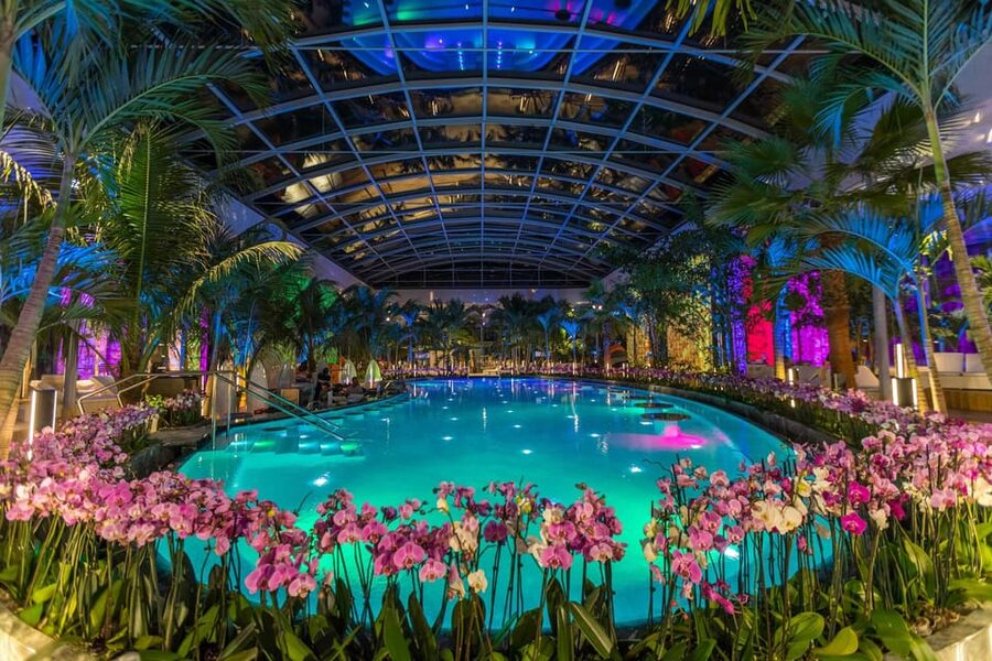 Bucuresti: Therme Bucharest Evening Entry Ticket & Transfer - Palm area: warm water, palms, and the biggest crowds