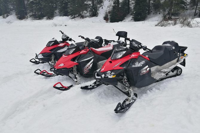 Carpathian mountains Snowmobile, ATV or Buggy tour in one day - Azuga is where the fun begins