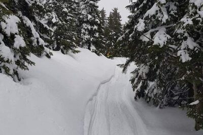 Carpathian mountains Snowmobile, ATV or Buggy tour in one day