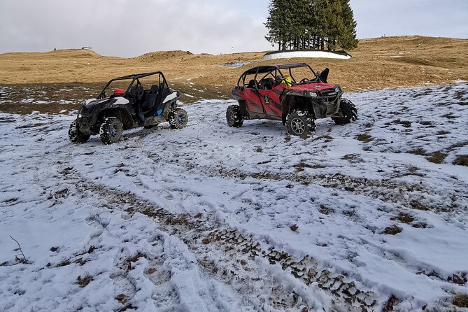 Carpathian mountains Snowmobile, ATV or Buggy tour in one day - Who should book this Carpathian day trip?