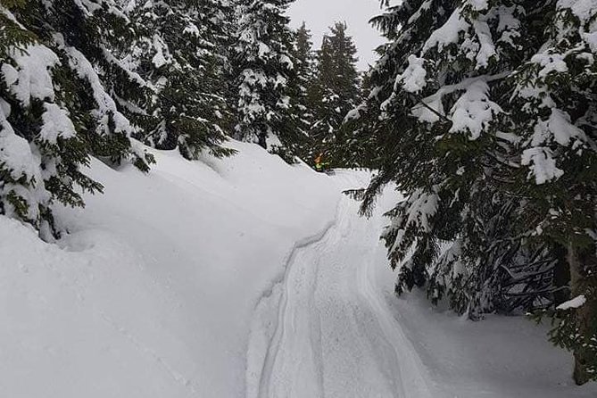 Carpathian mountains Snowmobile, ATV or Buggy tour in one day - Peleș Castle gives the day some history