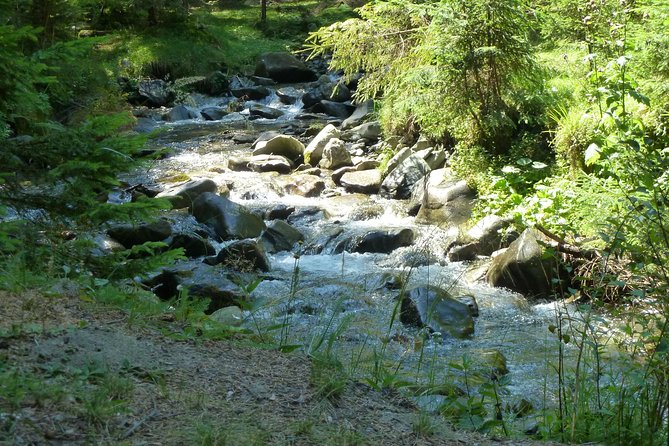 Carpathians in Romania: Bucegi Natural Park with native Spanish guide. - What the experience suits best