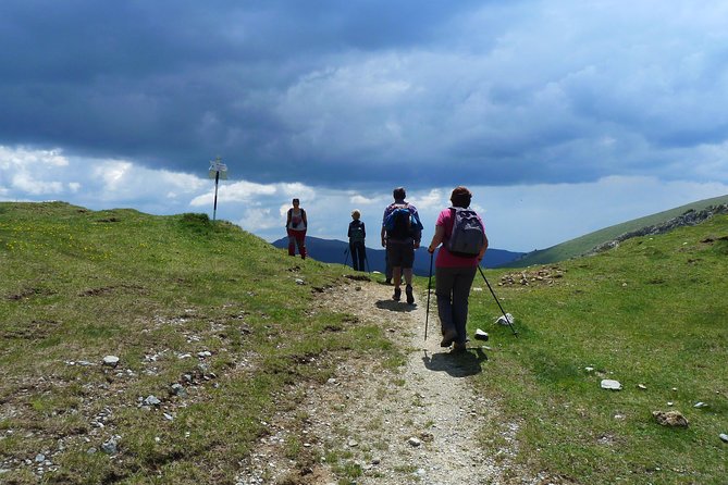 Carpathians in Romania: Bucegi Natural Park with native Spanish guide. - The route from Moeciu de Sus to Gutanu